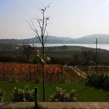 Eva's Vineyard Tihany