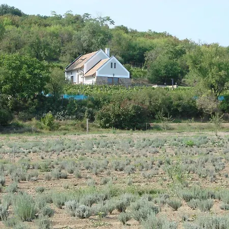 Eva's Vineyard * Tihany