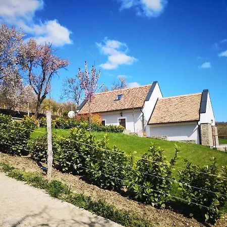 Eva's Vineyard Tihany